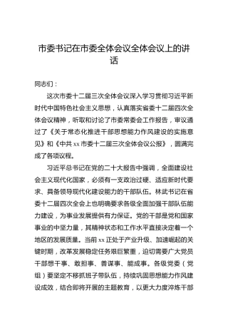 市委书记在市委全体会议全体会议上的讲话
