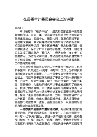 2023年在县委审计委员会会议上的讲话