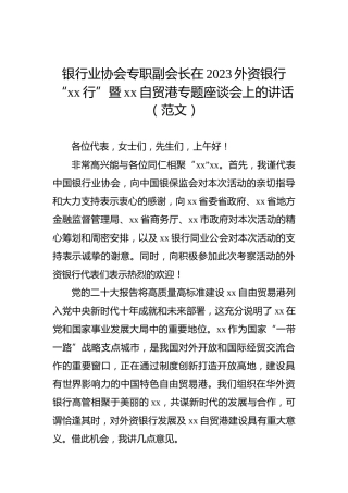 银行业协会专职副会长在2023外资银行“xx行”暨xx自贸港专题座谈会上的讲话