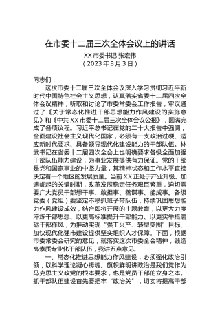 在市委十二届三次全体会议上的讲话（20230803）