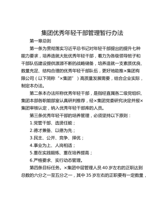 集团优秀年轻干部管理暂行办法