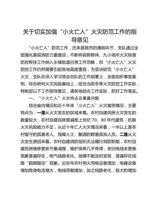 关于切实加强“小火亡人”火灾防范工作的指导意见