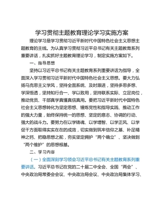学习贯彻主题教育理论学习实施方案