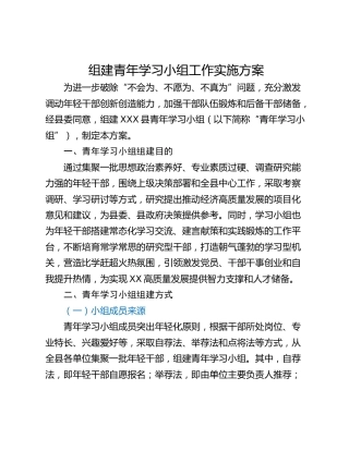 组建青年学习小组工作实施方案