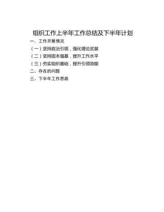 组织工作上半年工作总结及下半年计划