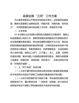 县委巡察“三同”工作方案