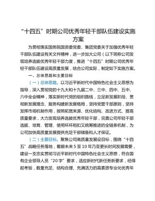 “十四五”时期公司优秀年轻干部队伍建设实施方案
