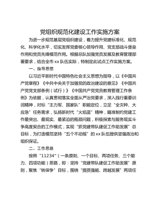 党组织规范化建设工作实施方案