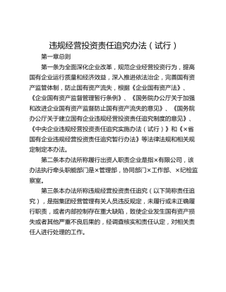 违规经营投资责任追究办法（试行）