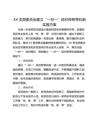 XX支部委员会建立“一对一”结对传帮带机制实施方案