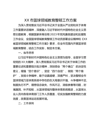 XX市篮球领域教育整顿工作方案