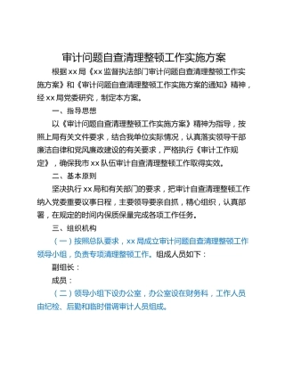 审计问题自查清理整顿工作实施方案