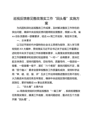 巡视反馈意见整改落实工作“回头看”实施方案