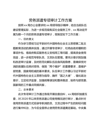 劳务派遣专项审计工作方案