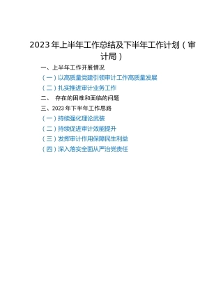 2023年上半年工作总结及下半年工作计划（审计局）