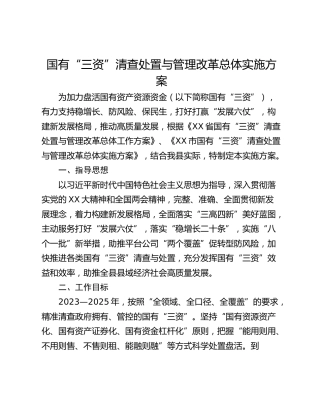 国有“三资”清查处置与管理改革总体实施方案