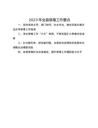 2023年全县禁毒工作要点