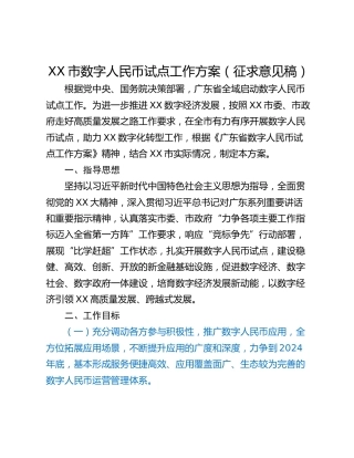 XX市数字人民币试点工作方案（征求意见稿）