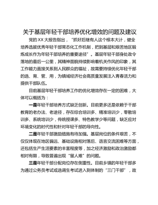 关于基层年轻干部培养优化增效的问题及建议