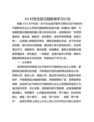 XX村党支部主题教育学习计划