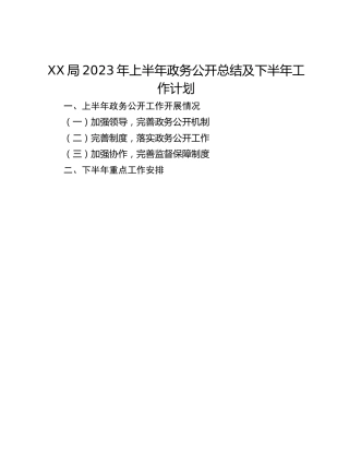 XX局2023年上半年政务公开总结及下半年工作计划