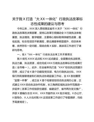 关于我X打造“大XX一体化”行政执法改革标志性成果的建议与思考