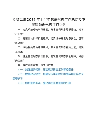 X局党组2023年上半年意识形态工作总结及下半年意识形态工作计划