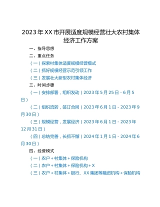 2023年XX市开展适度规模经营壮大农村集体经济工作方案