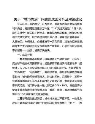 关于“城市内涝”问题的成因分析及对策建议