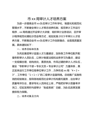 市xx局审计人才培养方案