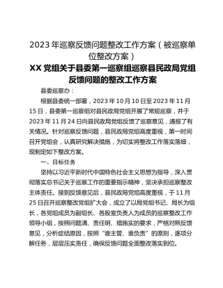 2023年巡察反馈问题整改工作方案（被巡察单位整改方案）