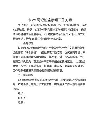 市xx局纪检监察组工作方案