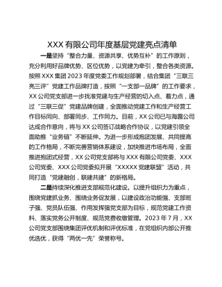 XXX有限公司年度基层党建亮点清单