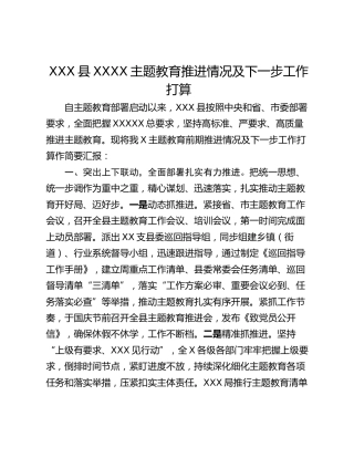 XXX县XXXX主题教育推进情况及下一步工作打算