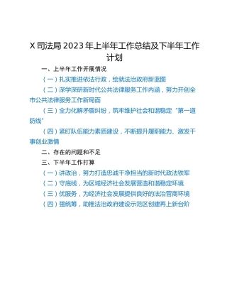 X司法局2023年上半年工作总结及下半年工作计划