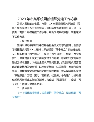2023年市某系统两新组织党建工作方案