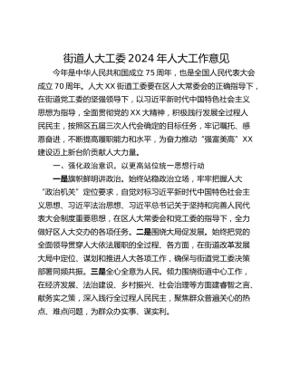 街道人大工委2024年人大工作意见