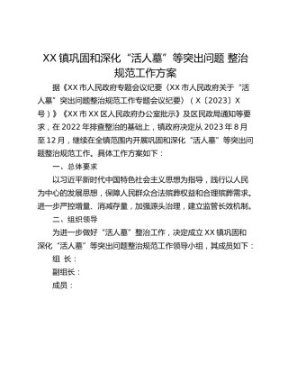 XX镇巩固和深化“活人墓”等突出问题 整治规范工作方案