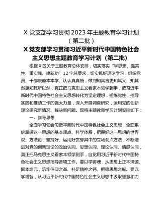 X 党支部学习贯彻2023年主题教育学习计划（第二批）