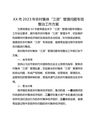 XX市2023年农村集体“三资”管理问题专项整治工作方案