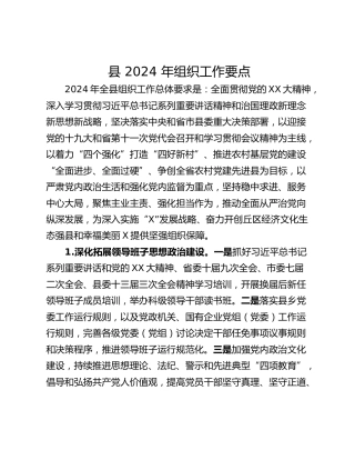 县 2024 年组织工作要点