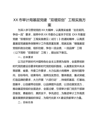 XX市审计局基层党建“双增双创”工程实施方案