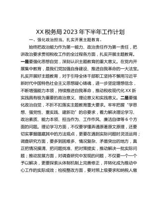 XX税务局2023年下半年工作计划