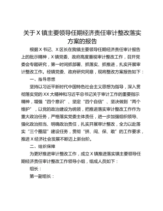 关于X镇主要领导任期经济责任审计整改落实方案的报告