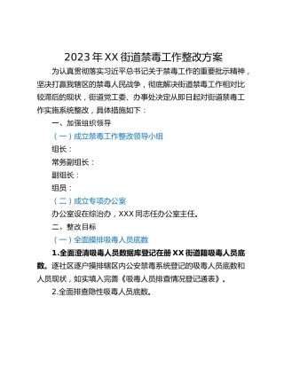 2023年XX街道禁毒工作整改方案