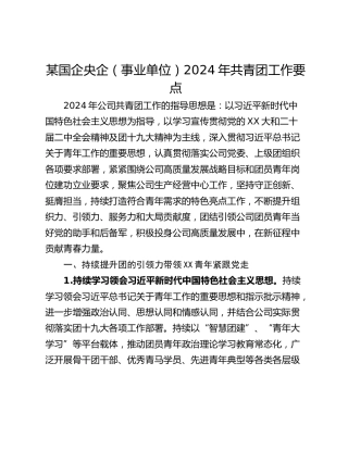 某国企央企（事业单位）2024年共青团工作要点