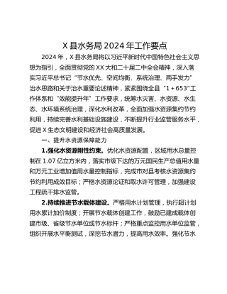 X县水务局2024年工作要点