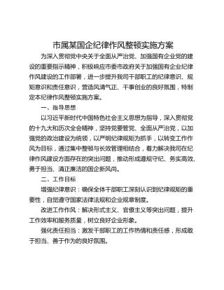市属某国企纪律作风整顿实施方案