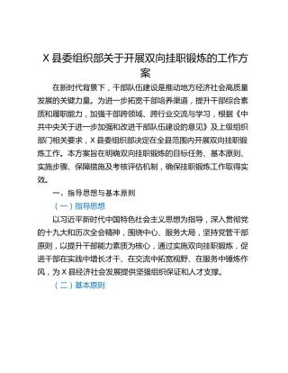 X县委组织部关于开展双向挂职锻炼的工作方案
