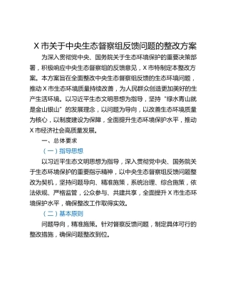 X市关于中央生态督察组反馈问题的整改方案